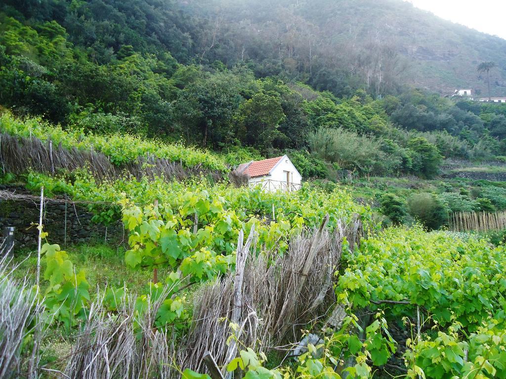 São VicenteA Casa Estrelicia-Dourada Garces别墅 外观 照片